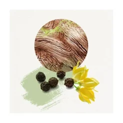 Homme Annayaké Dojou For HIm                Eau de Toilette