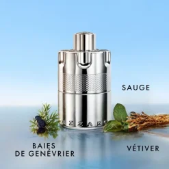 Homme AZZARO Wanted                Eau de Parfum