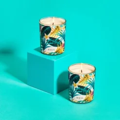 Baija Moana                Bougie Parfumée