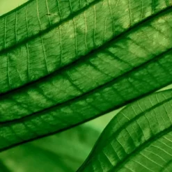 Biotherm AquaSource Deep Revitalizer                Sérum Concentré Hydratation Profonde & Lumière