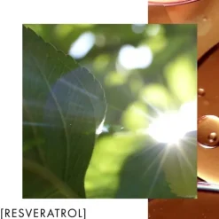 Biotherm Blue Therapy                Revitalize Night Crème de Nuit Nutrition & Éclat