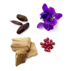 Homme Brioni                Eau de Parfum