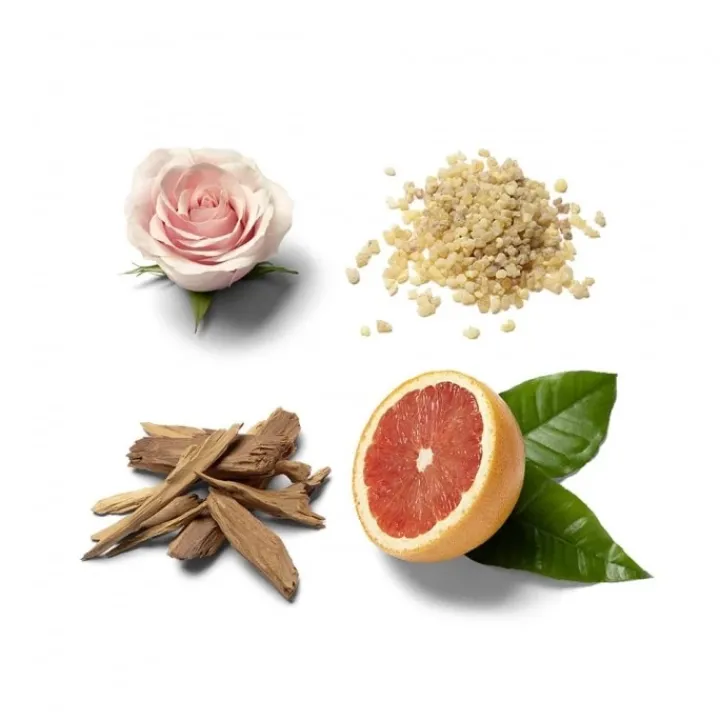 Homme Brioni Eau de Parfum Éclat