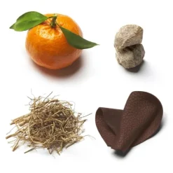 Homme Brioni                Eau de Parfum Suave