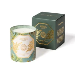 Carrière Frères Absinthe - Artemisia Absinthium                Bougie Parfumée
