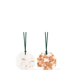 Carrière Frères Cèdre - Cedrus Atlantica                Palet Botanique