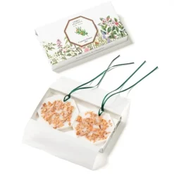 Carrière Frères Cèdre - Cedrus Atlantica                Palet Botanique