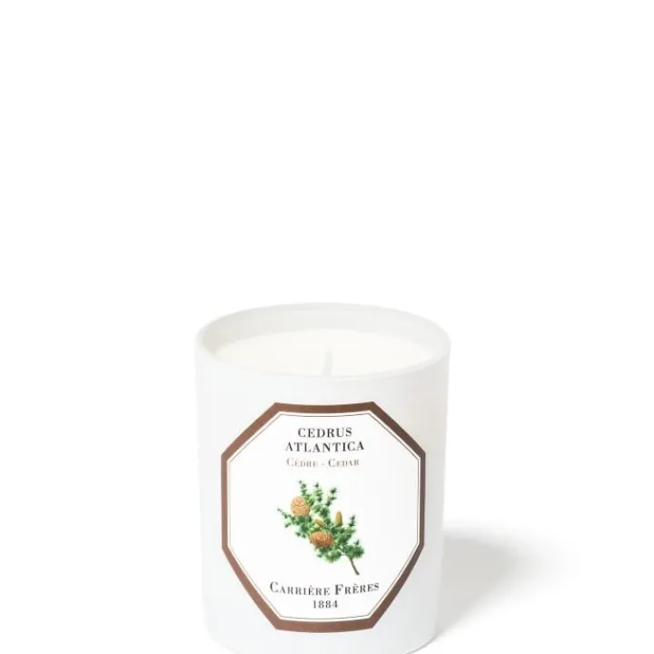 Carrière Frères Cèdre - Cedrus Atlantica Bougie Parfumée