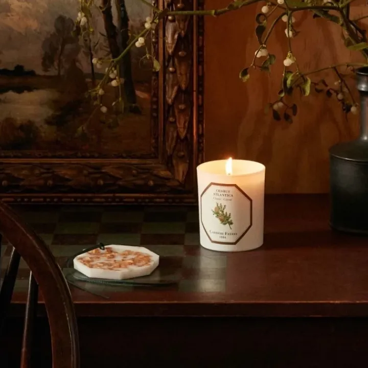 Carrière Frères Cèdre - Cedrus Atlantica Bougie Parfumée