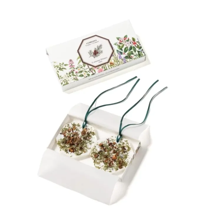 Carrière Frères Cyprès - Cupressus Palet Botanique