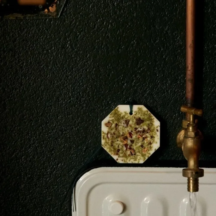 Carrière Frères Cyprès - Cupressus Palet Botanique