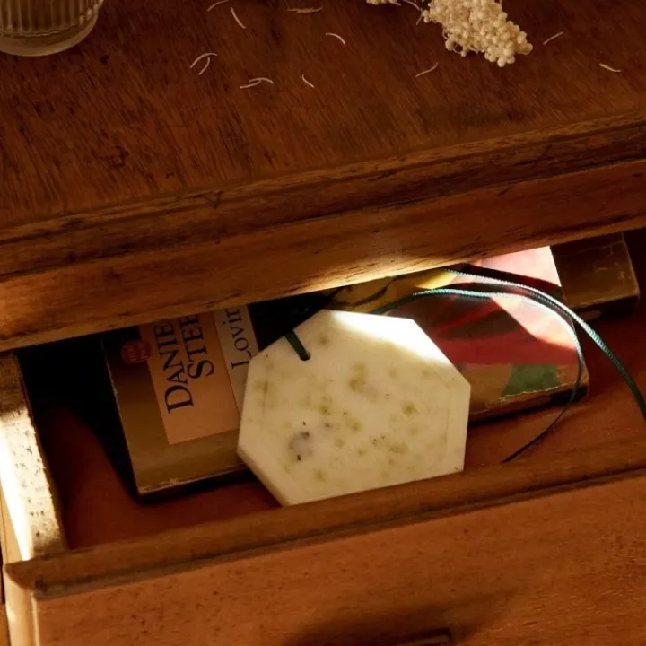 Carrière Frères Cyprès - Cupressus Palet Botanique