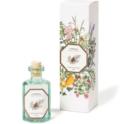 Carrière Frères Cyprès - Cupressus                Diffuseur de Parfum