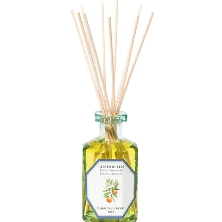 Carrière Frères Fleur d'Oranger Citrus Dulcis Diffuseur