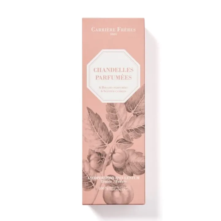 Carrière Frères Fruits Chandelle Parfumée