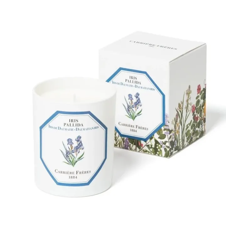 Carrière Frères Iris - Iris Pallida Bougie Parfumée