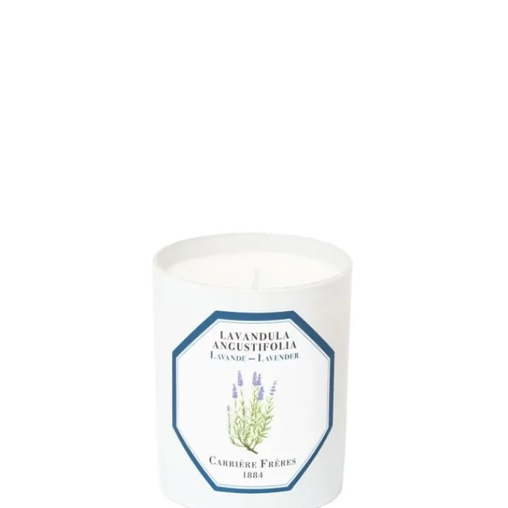 Carrière Frères Lavande - Lavandula Angustifolia Bougie Parfumée