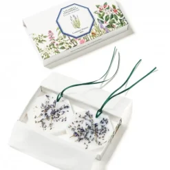 Carrière Frères Lavande - Lavandula Angustifolia                Palet Botanique