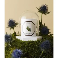 Carrière Frères Le Dome - Socle & Cloche                Coffret Accessoires