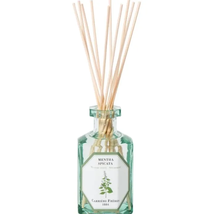 Carrière Frères Menthe Verte - Mentha Spicata Diffuseur de Parfum