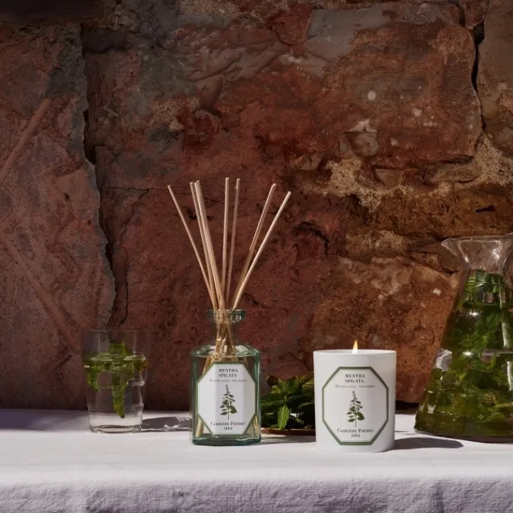 Carrière Frères Menthe Verte - Mentha Spicata Diffuseur de Parfum