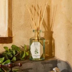 Carrière Frères Menthe Verte - Mentha Spicata Diffuseur de Parfum
