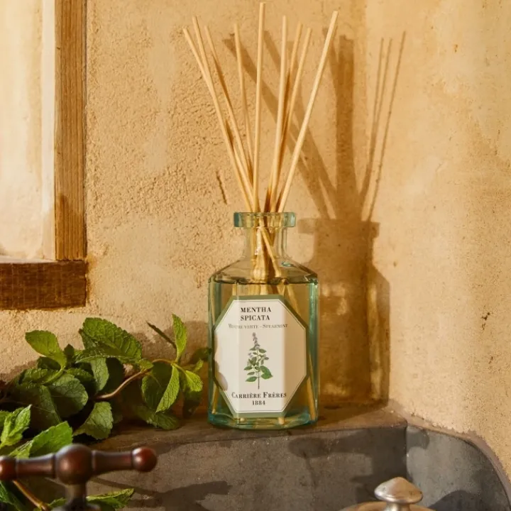 Carrière Frères Menthe Verte - Mentha Spicata Diffuseur de Parfum