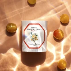 Carrière Frères Mirabelle - Prunus Domestica Syrica                Bougie Parfumée