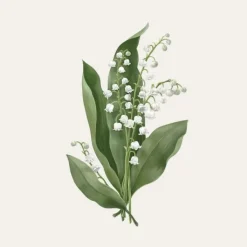 Carrière Frères Muguet - Majalis Bougie Parfumée