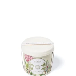 Carrière Frères Plumeria - Frangipanier                Recharge Bougie Parfumée