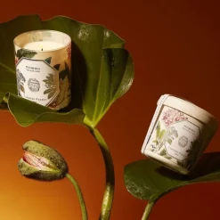 Carrière Frères Plumeria - Frangipanier                Recharge Bougie Parfumée