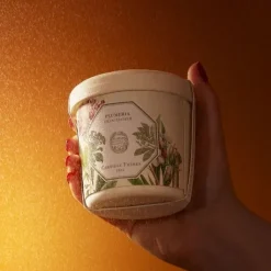 Carrière Frères Plumeria - Frangipanier                Recharge Bougie Parfumée