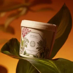 Carrière Frères Plumeria - Frangipanier                Recharge Bougie Parfumée