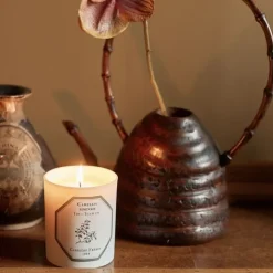 Carrière Frères Thé - Camelia Sinensis                Bougie Parfumée