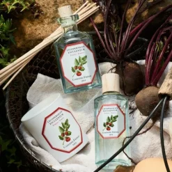 Carrière Frères Tomate - Lycopersicon Esculentum                Diffuseur de Parfum