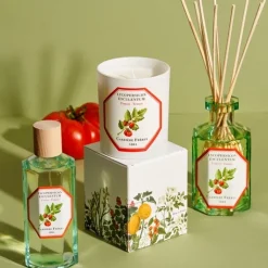 Carrière Frères Tomate - Lycopersicon Esculentum                Diffuseur de Parfum