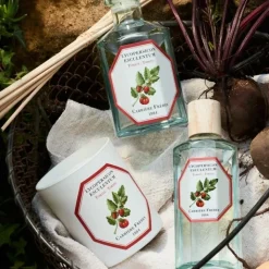 Carrière Frères Tomate - Lycopersicon Esculentum                Diffuseur de Parfum