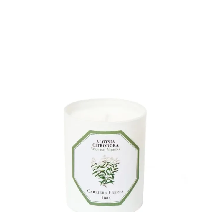 Carrière Frères Verveine - Aloysia Citrodora Bougie Parfumée
