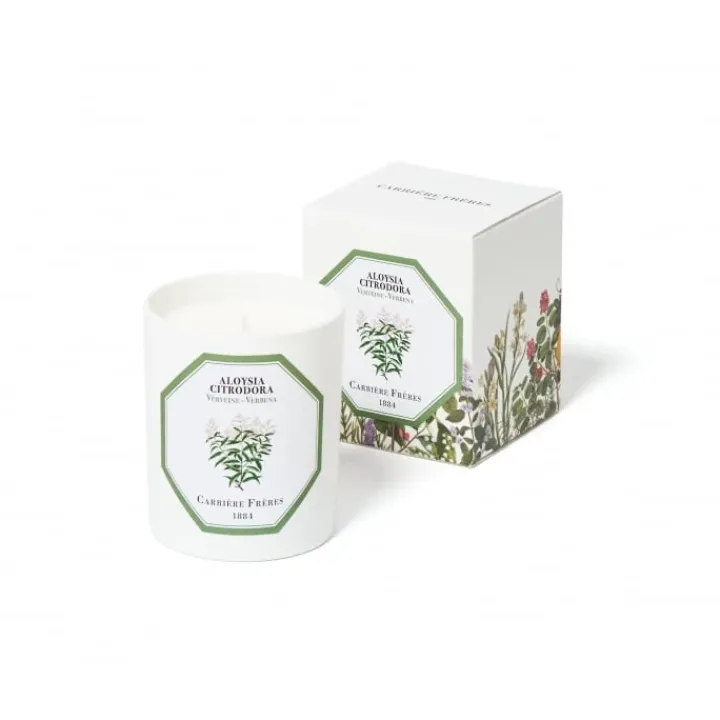 Carrière Frères Verveine - Aloysia Citrodora Bougie Parfumée