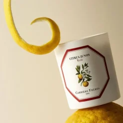 Carrière Frères Yuzu - Citrus Junos                Bougie Parfumée