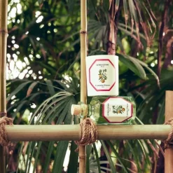 Carrière Frères Yuzu - Citrus Junos                Bougie Parfumée