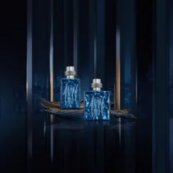 Homme Cerruti 1881 Silver Night                Eau de Parfum