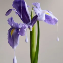 Christophe Robin Démêlant Nuanceur de Couleur                A l'Iris Florentina