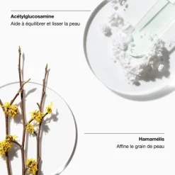 CLINIQUE Clarifying Lotion Lotion Exfoliante 2 - Peaux sèches à mixtes