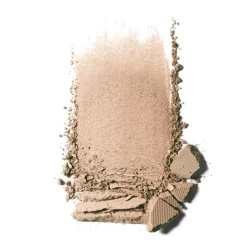 CLINIQUE Stay-Matte Sheer Pressed Powder                Poudre Transparente Haute Matité