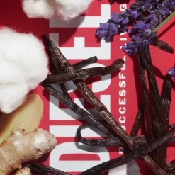 Homme Diesel D by                Eau de Toilette - Flacon Recharge