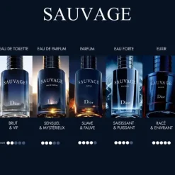 Homme DIOR Sauvage Eau de Toilette - Format Nomade