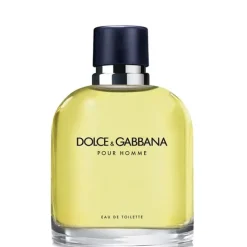 Homme Dolce&Gabbana pour Homme                Eau de Toilette