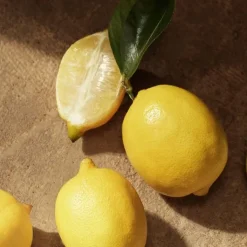 Homme Dolce&Gabbana Devotion pour Homme                Eau de Parfum