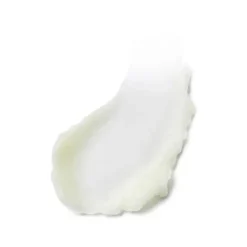 ESTEE LAUDER Advanced Night Repair                Baume Nettoyant